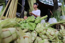 Penjualan Kulit Ketupat...
