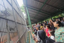 Taman Margasatwa Ragunan...