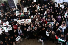 Aksi Bela Palestina...