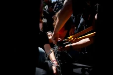 Gelar Aksi Dukung Palestina,...