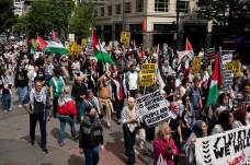Dukungan untuk Palestina...