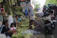 Pedagang Kulit Ketupat...