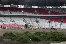 Revitalisasi Rumput...