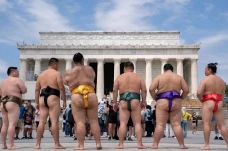 Melihat Eksibisi Sumo...