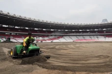 Revitalisasi Rumput...