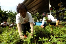 Pemberdayaan Bagi Komunitas...
