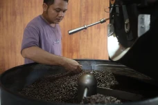 Pacu Produktivitas Kopi...