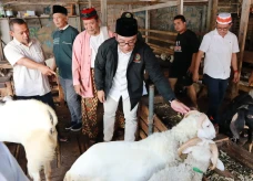 Ridwan Kamil Rencanakan...