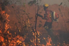 Kebakaran Hutan Mengancam...