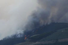 Dua Orang Tewas Akibat...