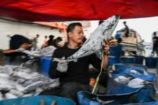 Produksi Perikanan Tangkap...