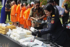 BNN RI Musnahkan Puluhan...