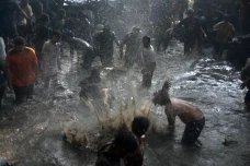 Kirab Budaya dan Tradisi...