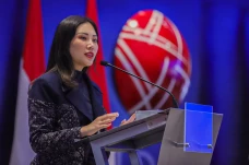 Angela Tanoesoedibjo...