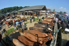 Potret Aktivitas Jual...