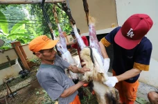 Indofood Berikan Bantuan...