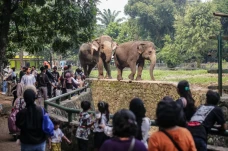 Ragunan Tak Tutup Senin...