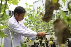 Agro Edukasi Wisata...
