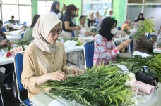 Pelatihan Merangkai...