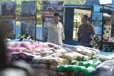 Presiden Prabowo Saksikan...