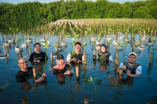 GreenBizReady: Inisiatif...