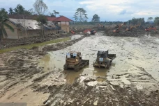 Kemenhut Percepat Pembersihan...