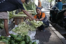 Pedagang Musiman Kulit...