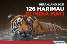 Sepanjang 2021 Sebanyak...