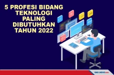 5 Profesi di Bidang...