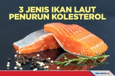 Tiga Jenis Ikan Laut...