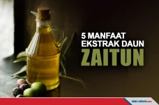Beragam Manfaat Ekstrak...