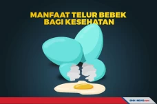 Simak! Berikut ini 5...