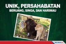 Unik, Bersaudara 15...
