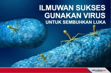 Ilmuwan Sukses Gunakan...