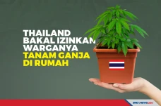Thailand Bakal Izinkan...