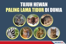 Ini 7 Hewan Paling Lama...