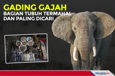 Gading Gajah, Bagian...