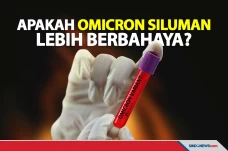 Ini Penjelasan Ahli...
