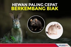 Tiga Makhluk Hidup Paling...