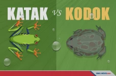 Serupa tapi Tak Sama,...