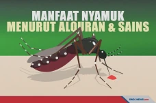 Kerap Mengganggu, Ternyata...