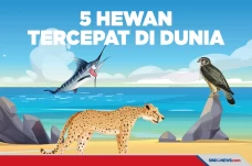 5 Hewan Tercepat di...