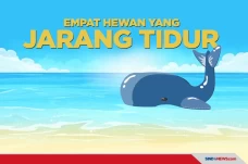2 Jam Istirahat dalam...