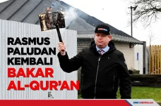 Rasmus Paludan, Politisi...