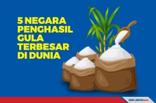 Berikut Ini 5 Negara...