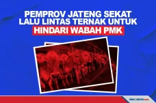 Hindari Wabah PMK, Pemprov...
