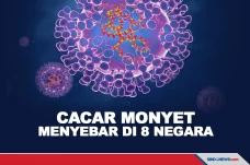 Virus Cacar Monyet Telah...