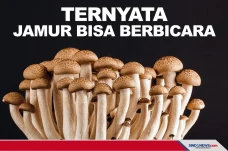 Ilmuwan Inggris Temukan...