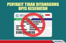 Daftar 22 Penyakit yang...