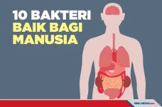 Perkuat Imunitas, Ini...